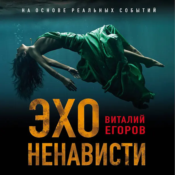 Эхо ненависти. Обложка