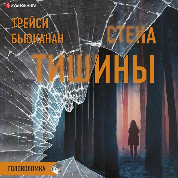 Стена тишины. Обложка