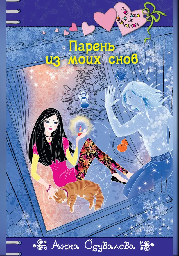 Парень из моих снов. Обложка