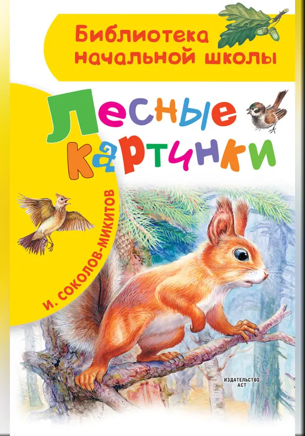 Лесные картинки. Обложка