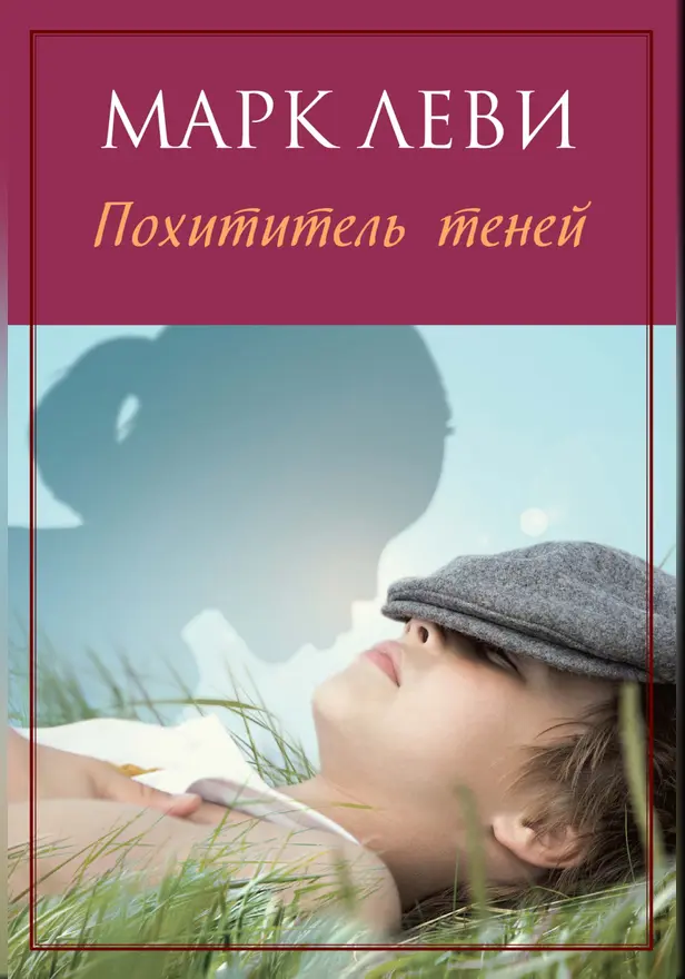 Похититель теней. Обложка