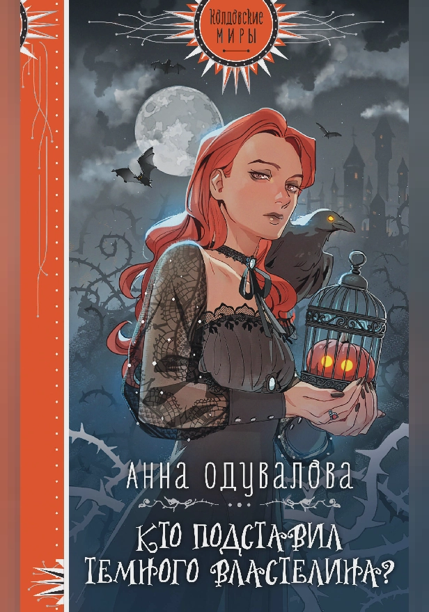 Кто подставил Темного властелина?. Обложка