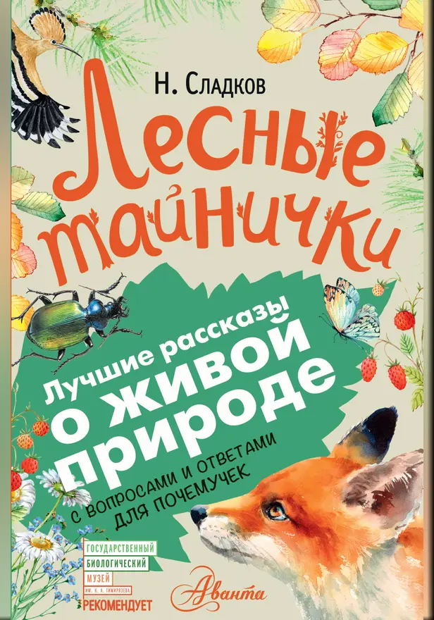 Лесные тайнички. Обложка