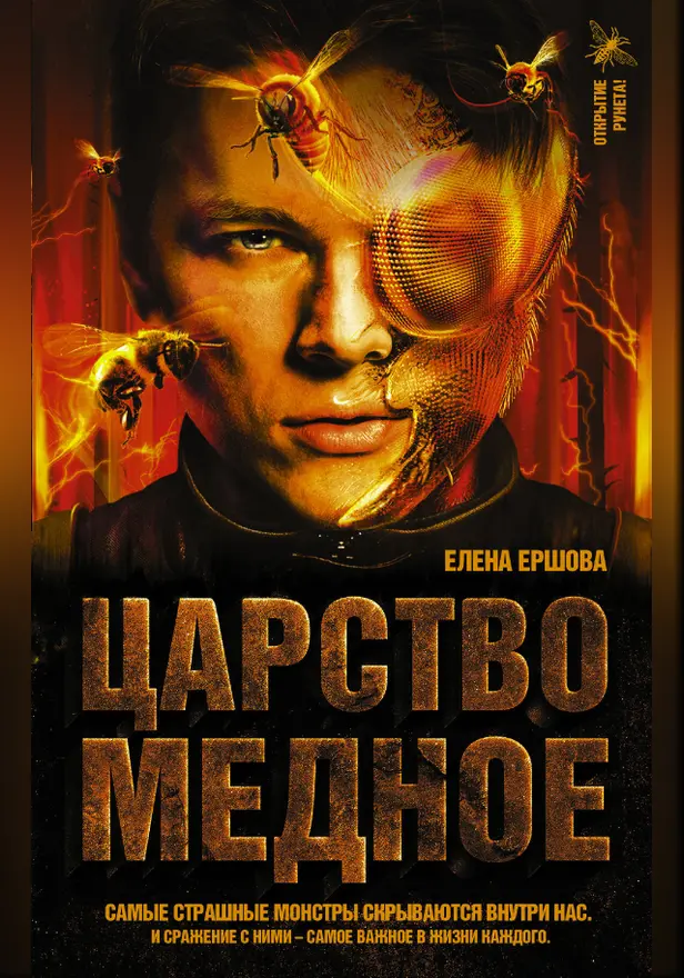 Царство медное. Обложка