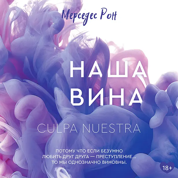 Наша вина. Обложка