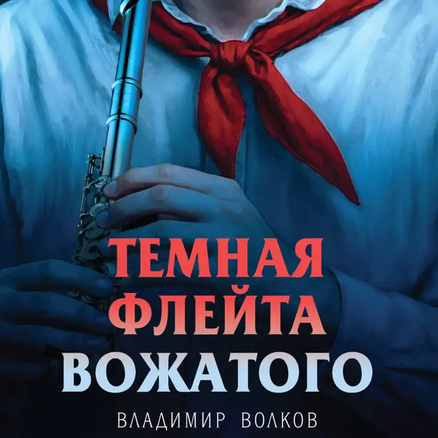 Темная флейта вожатого. Обложка