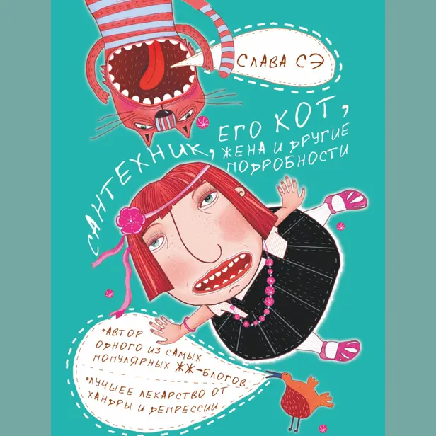 Сантехник, его кот, жена и другие подробности. Обложка