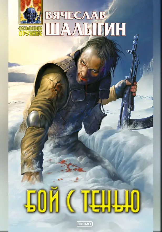 Бой с тенью. Обложка