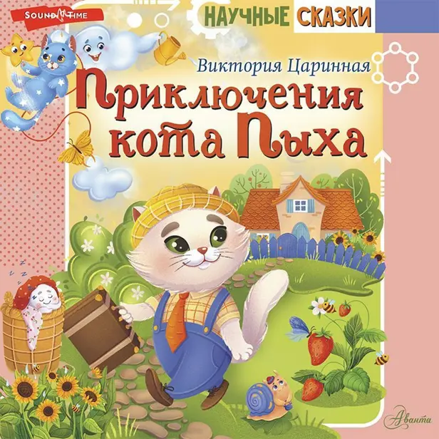 Приключения кота Пыха. Обложка