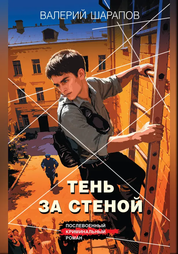 Тень за стеной. Обложка