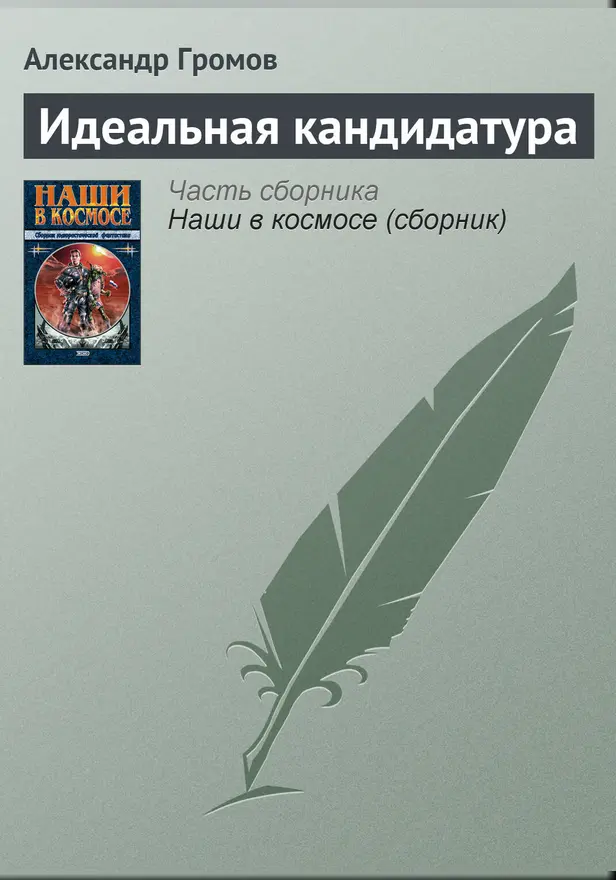 Идеальная кандидатура. Обложка