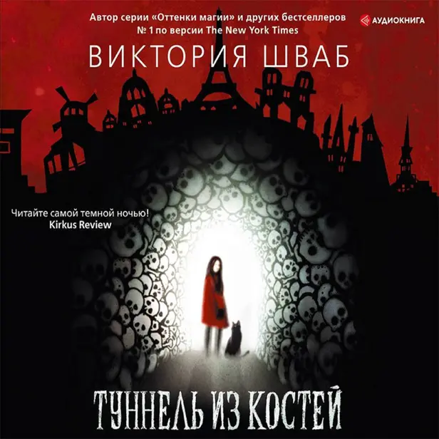 Туннель из костей. Обложка