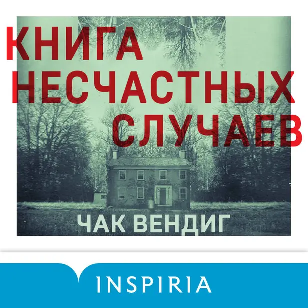 Книга несчастных случаев. Обложка