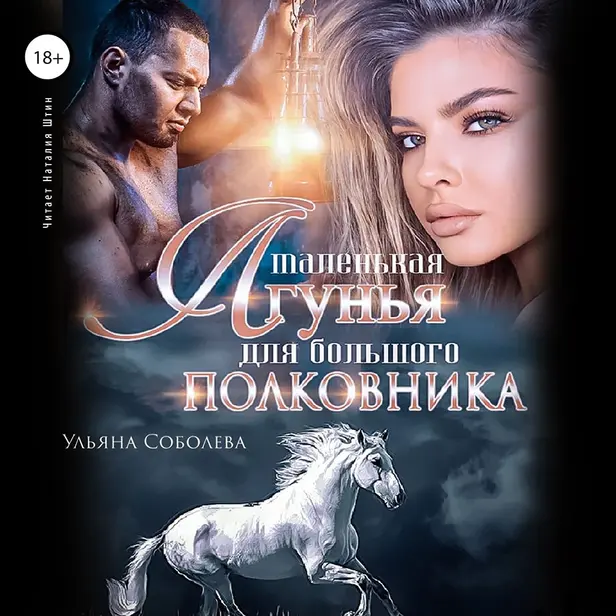 Маленькая лгунья для большого полковника. Обложка