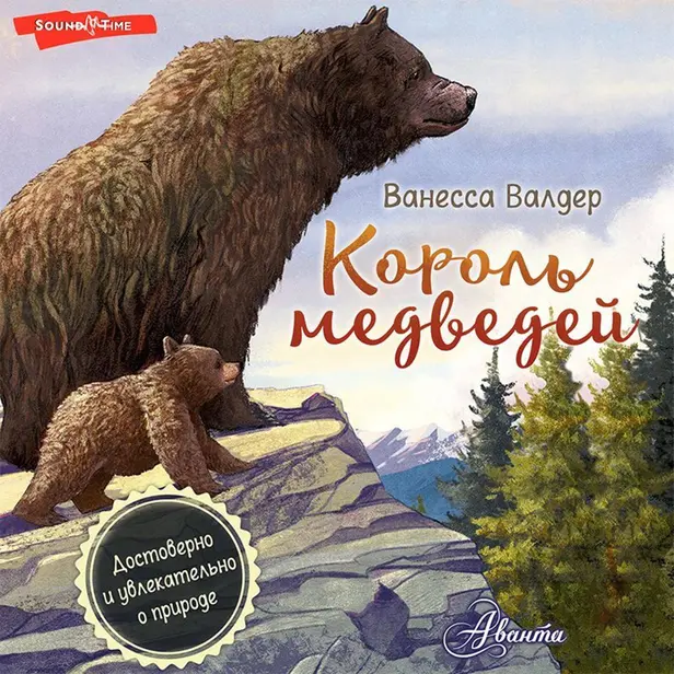 Король медведей. Обложка