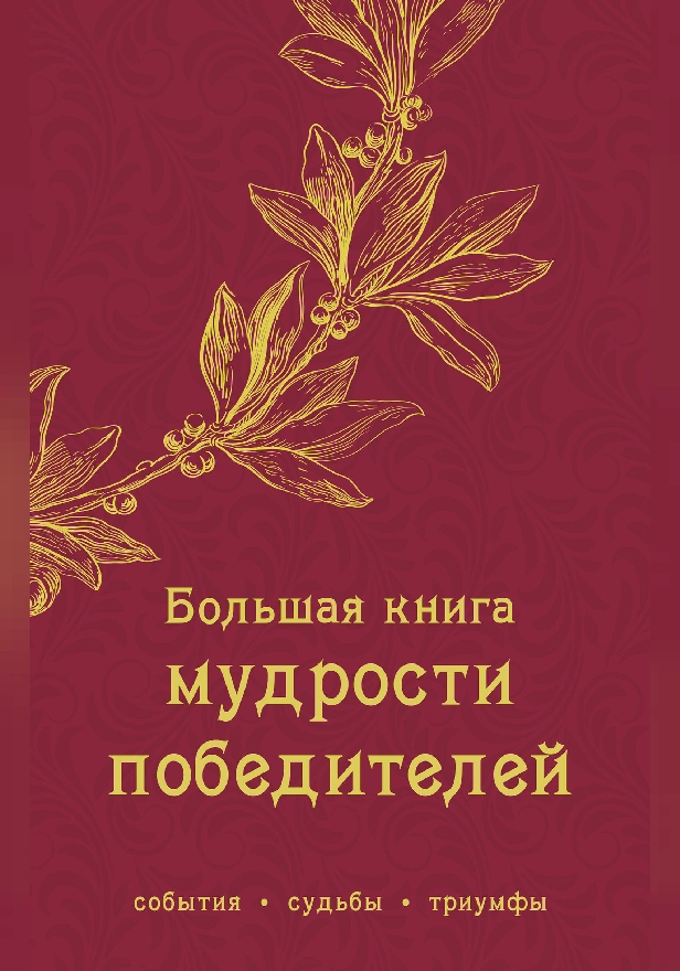 Большая книга мудрости победителей. Обложка
