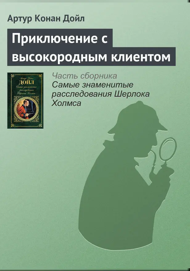 Приключение с высокородным клиентом. Обложка