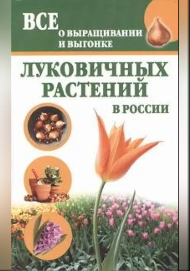 Все о выращивании и выгонке луковичных растений в России. Обложка
