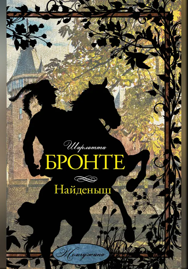 Найденыш. Обложка