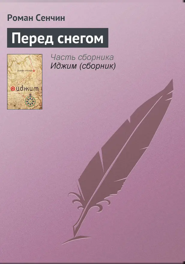 Перед снегом. Обложка