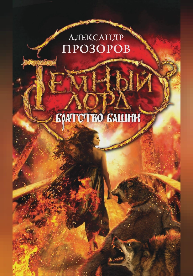 Братство Башни. Обложка