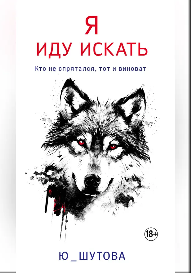 Я иду искать. Обложка