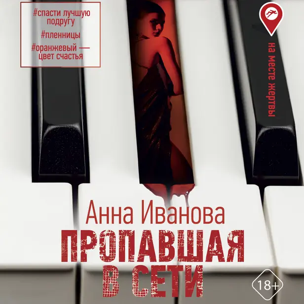 Пропавшая в сети. Обложка