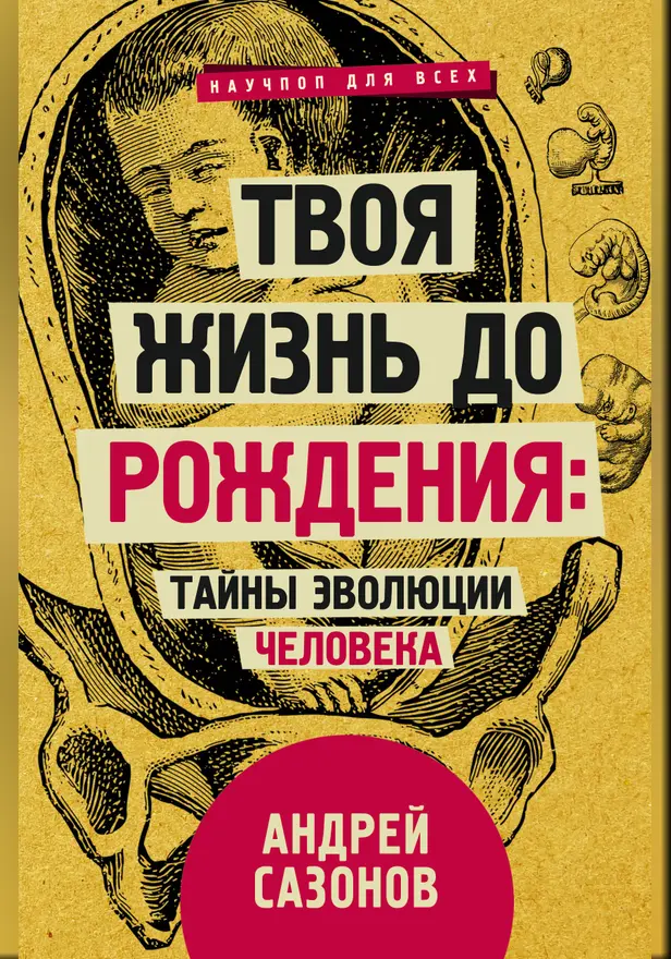 Твоя жизнь до рождения: тайны эволюции человека. Обложка