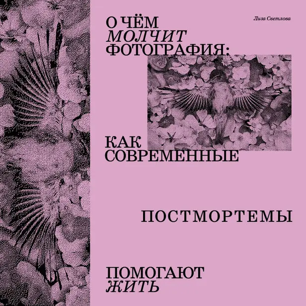 О чем молчит фотография: как современные постмортемы помогают жить. Обложка
