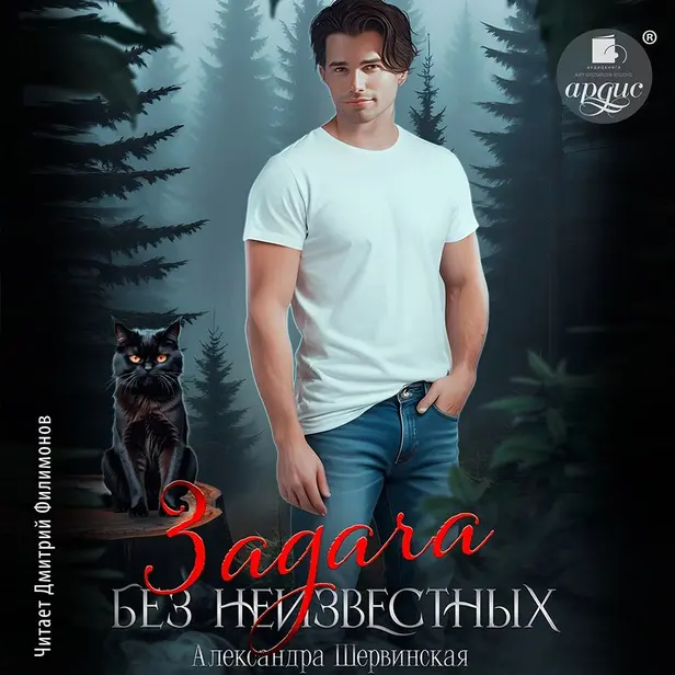 Задача без неизвестных. Обложка