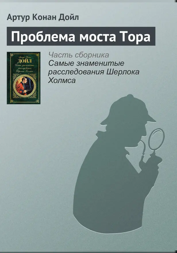 Проблема моста Тора. Обложка