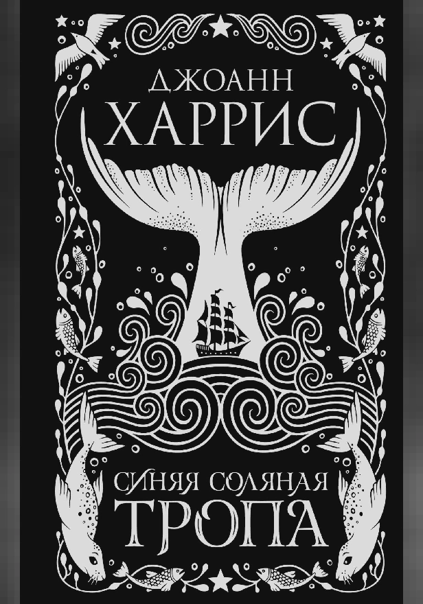 Синяя соляная тропа. Обложка