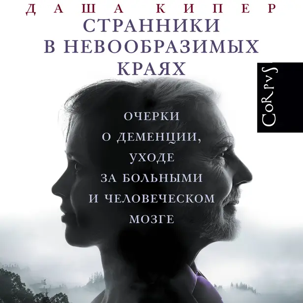 Странники в невообразимых краях. Обложка