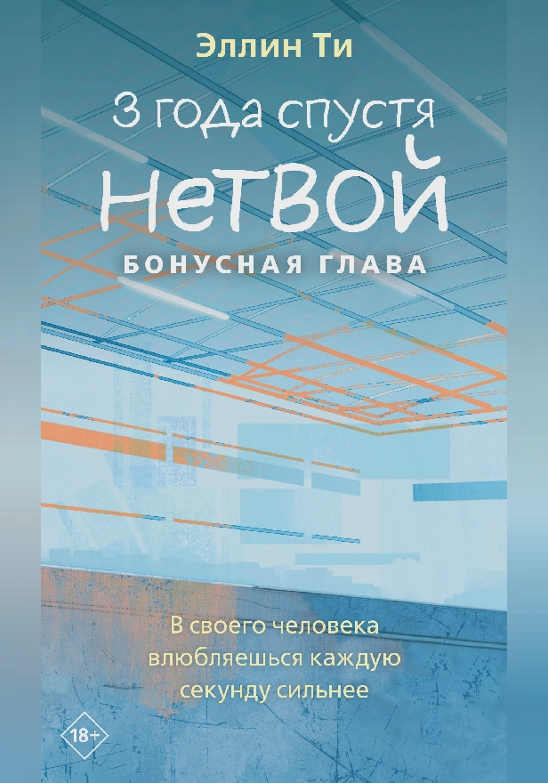 3 года спустя. Нетвой. Бонусная глава. Обложка