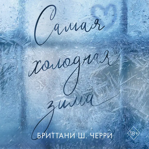 Самая холодная зима. Обложка