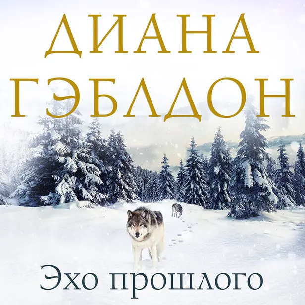 Эхо прошлого. Обложка