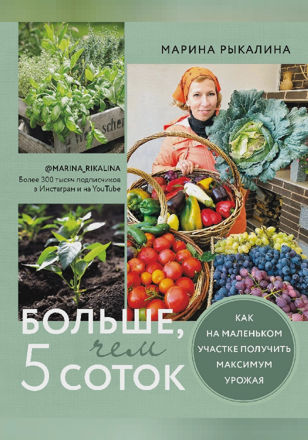 Больше, чем 5 соток. Как на маленьком участке получить максимум урожая. Обложка