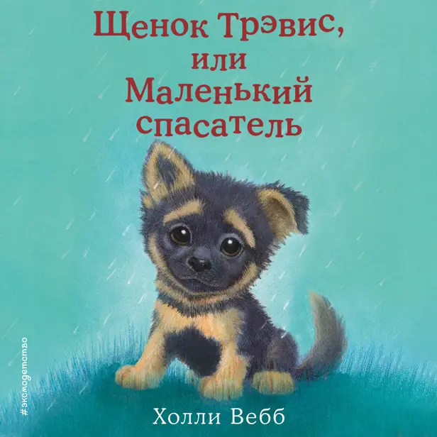 Щенок Трэвис, или Маленький спасатель. Обложка