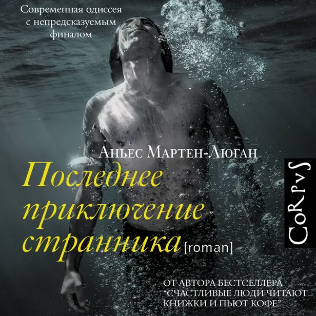 Последнее приключение странника. Обложка