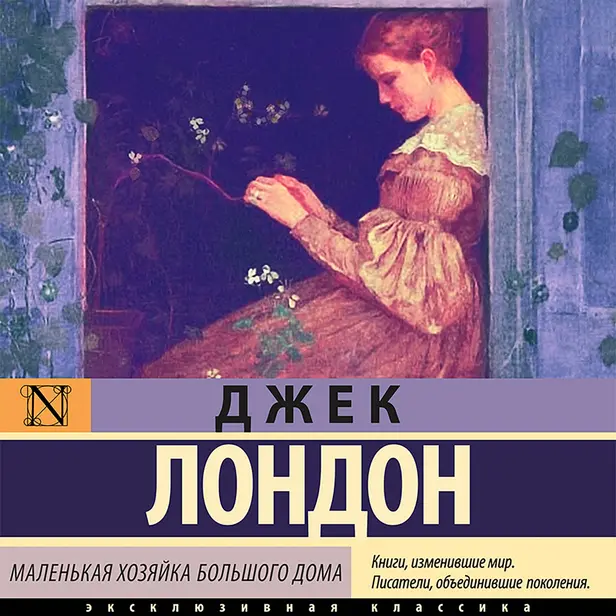 Маленькая хозяйка Большого дома. Обложка