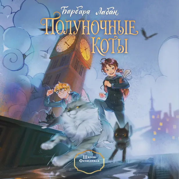 Школа Фелидиксов. Обложка