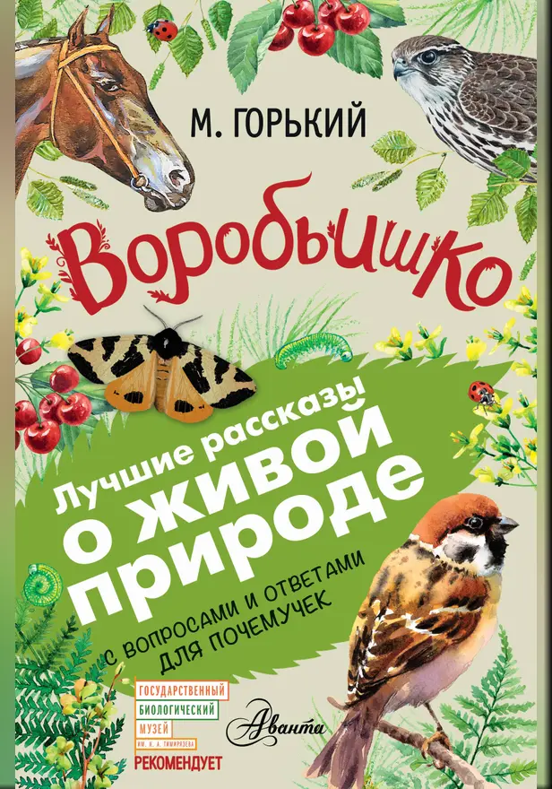 Воробьишко. Обложка