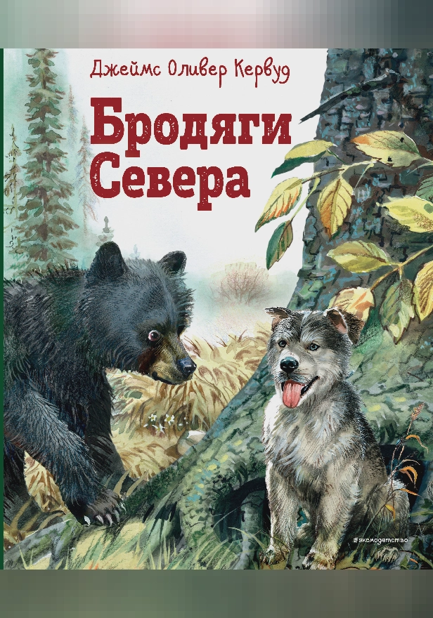 Бродяги Севера. Обложка
