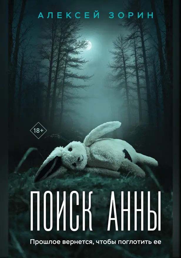 Поиск Анны. Обложка