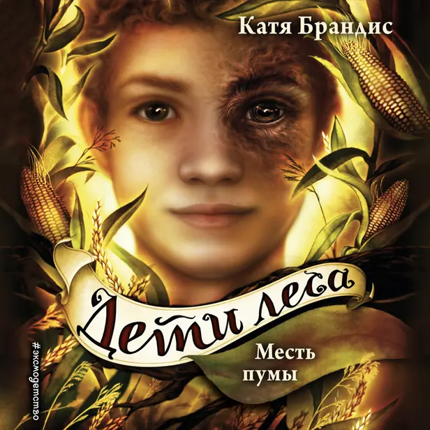 Месть пумы. Обложка