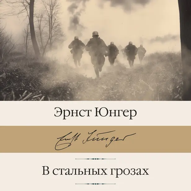 В стальных грозах. Обложка