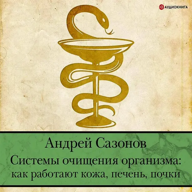 Системы очищения организма: как работают кожа, печень, почки. Обложка