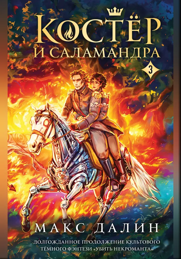 Костер и Саламандра. Книга 3. Обложка