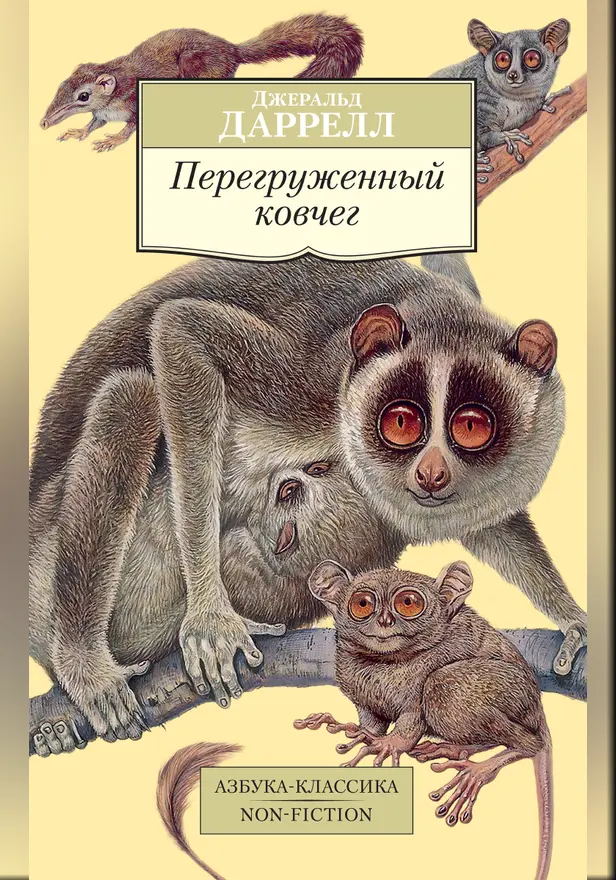 Перегруженный ковчег. Обложка