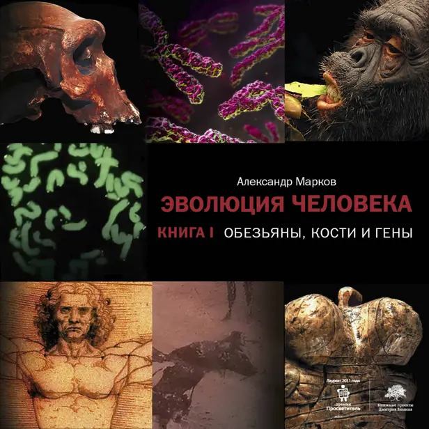 Эволюция человека. [В 2 кн.] Кн. 1. Обезьяны, кости и гены. Обложка
